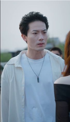 特种上门女婿封面
