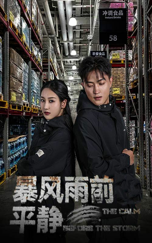 暴风雨前的平静封面