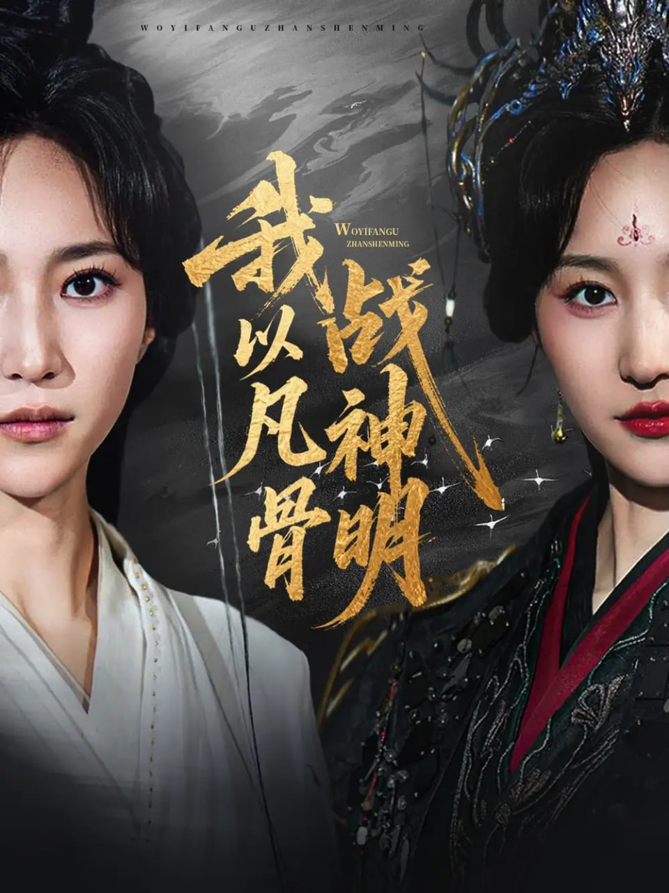 我以凡骨战神明封面
