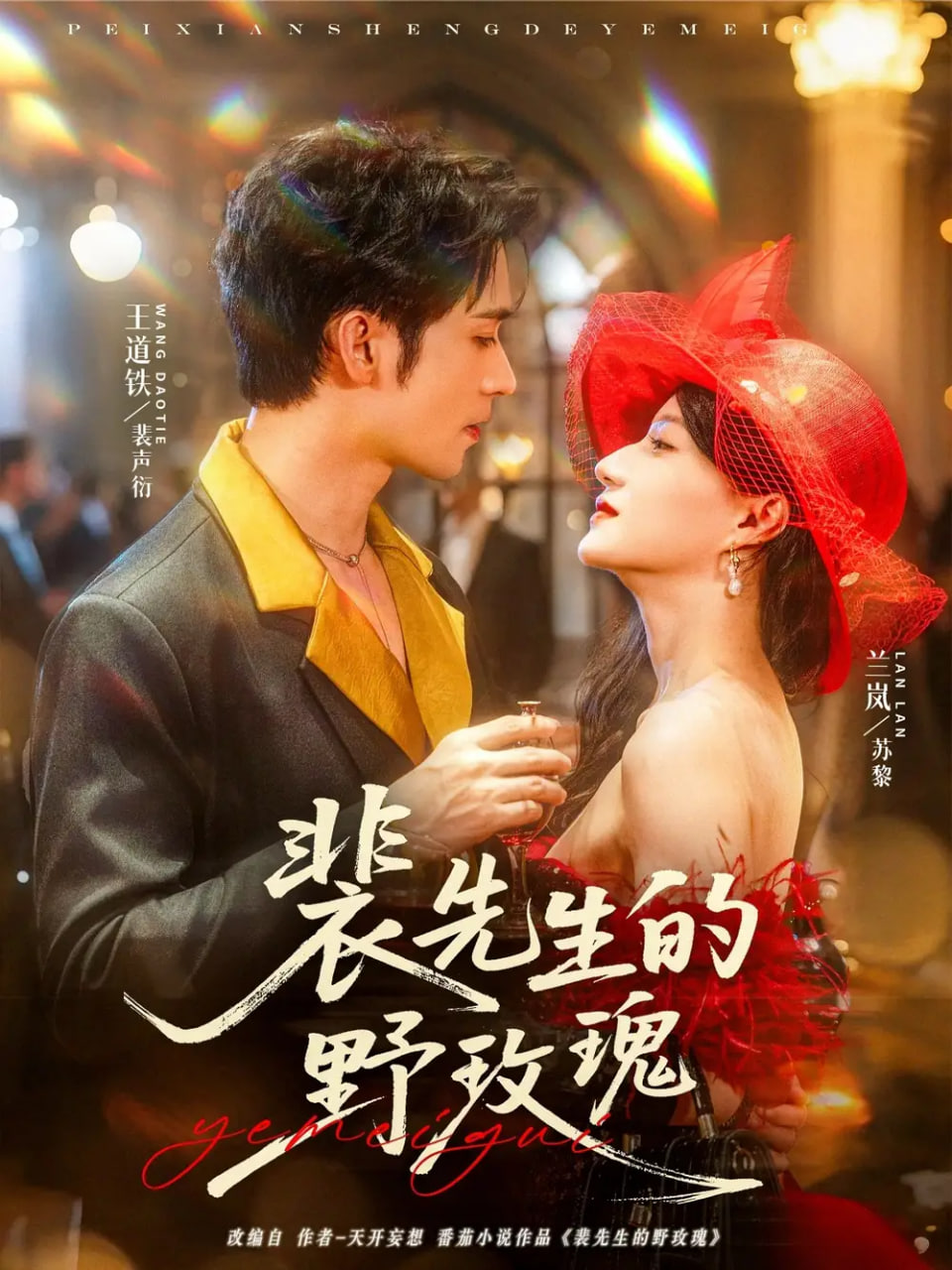 裴先生的野玫瑰封面