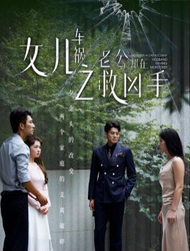 女儿车祸之老公却在救凶手封面