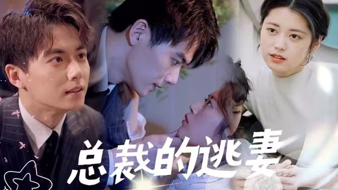 总裁的逃妻封面
