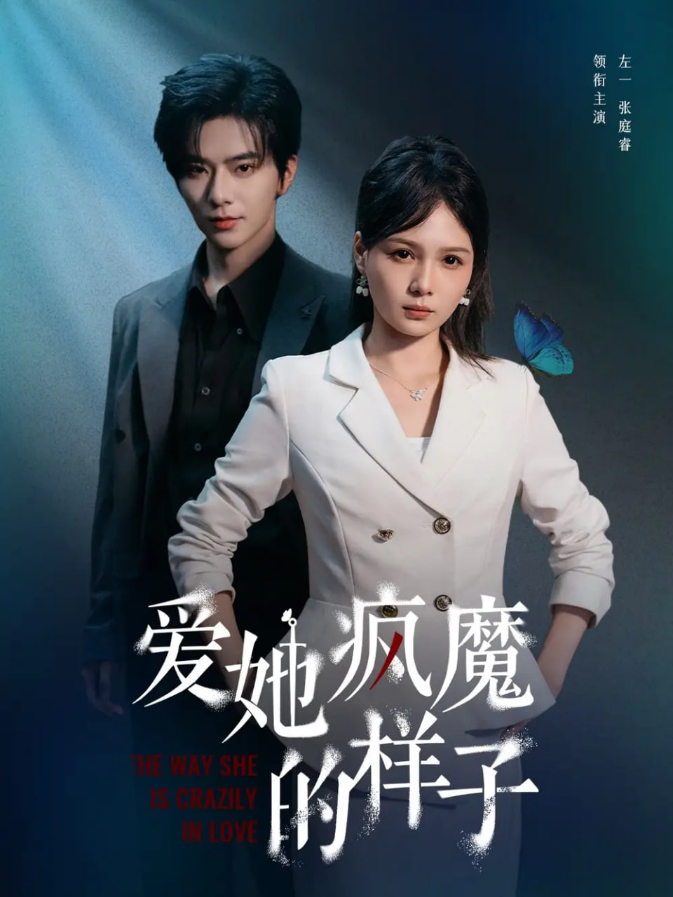 爱她疯魔的样子封面