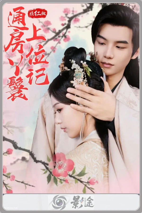 红颜风华录封面