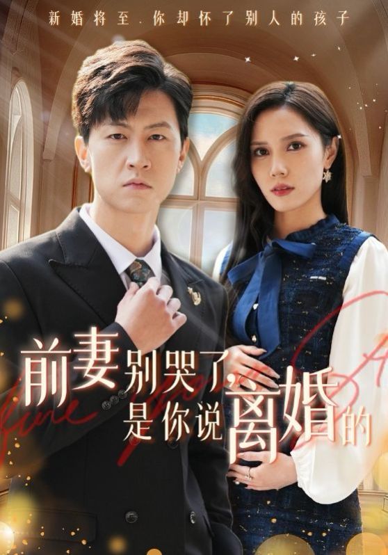 前妻别哭了是你说离婚的封面