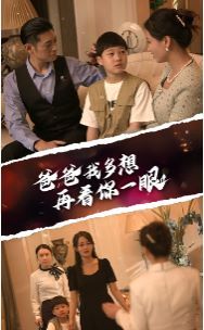 爸爸我多想再看你一眼封面