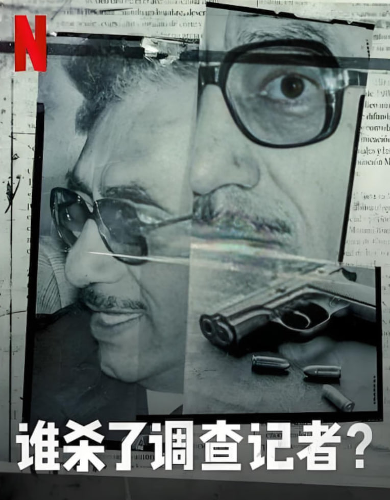 谁杀了调查记者封面