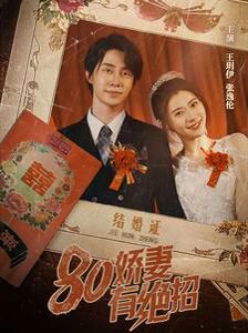 80娇妻有绝招封面