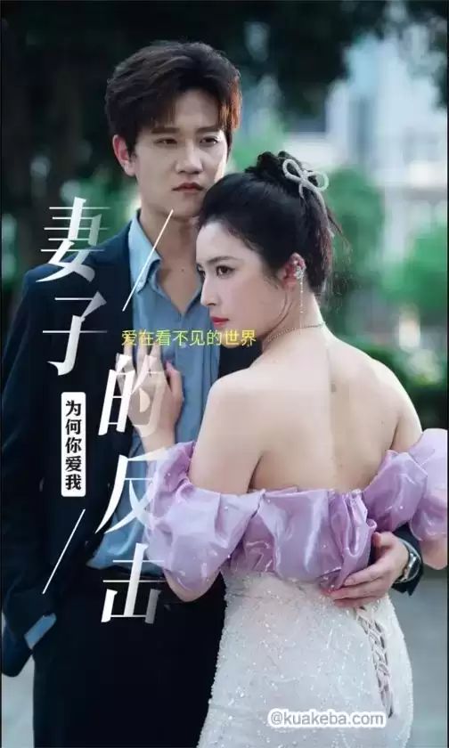 妻子的反击封面