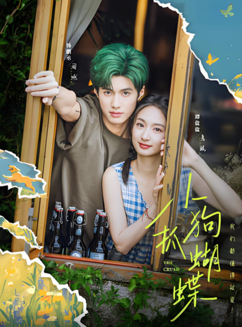 小狗抓蝴蝶封面