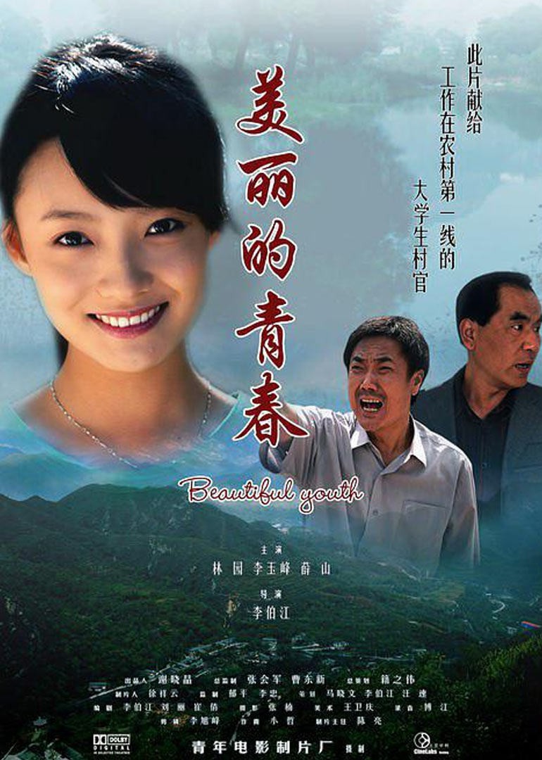 美丽的青春封面