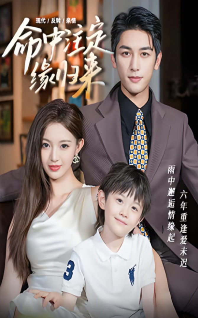命中注定缘归来封面