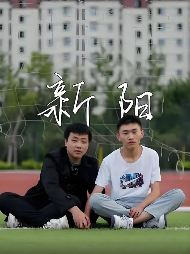 新阳 2022封面