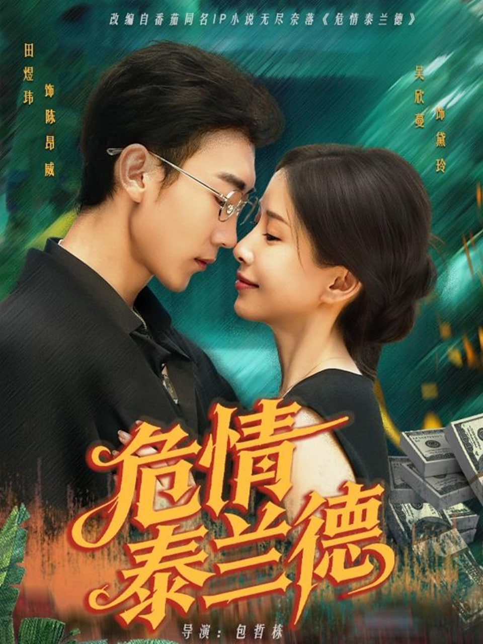 危情泰兰德封面