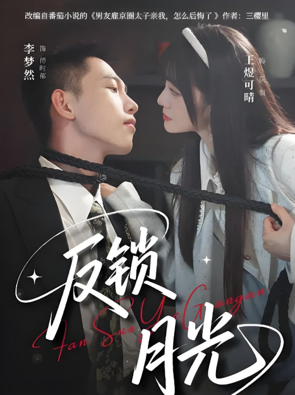 反锁月光封面