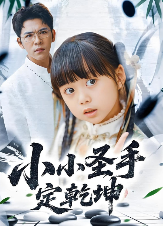 小小圣手定乾坤封面