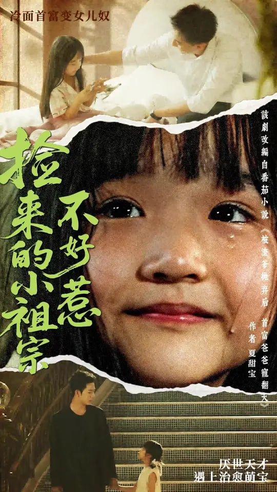 捡来的小祖宗不好惹封面