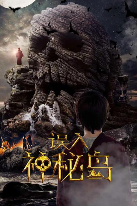 误入神秘岛封面