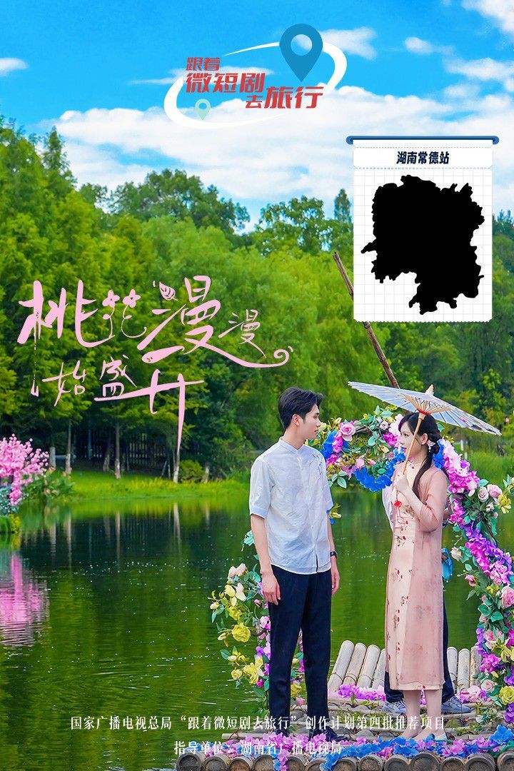 桃花漫漫始盛开封面