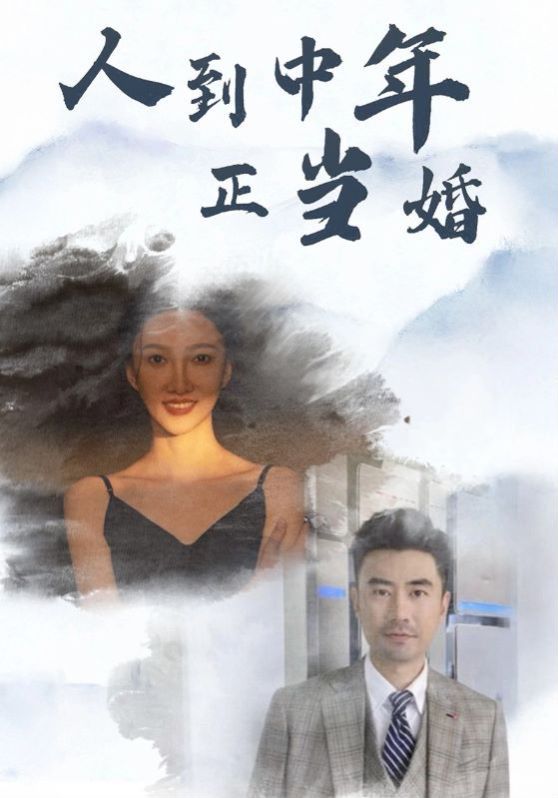 人到中年正当婚封面