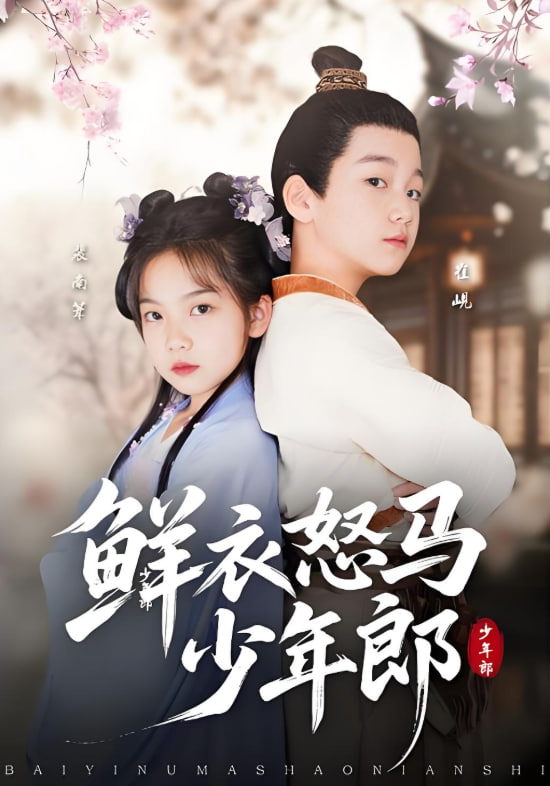 鲜衣怒马少年郎封面