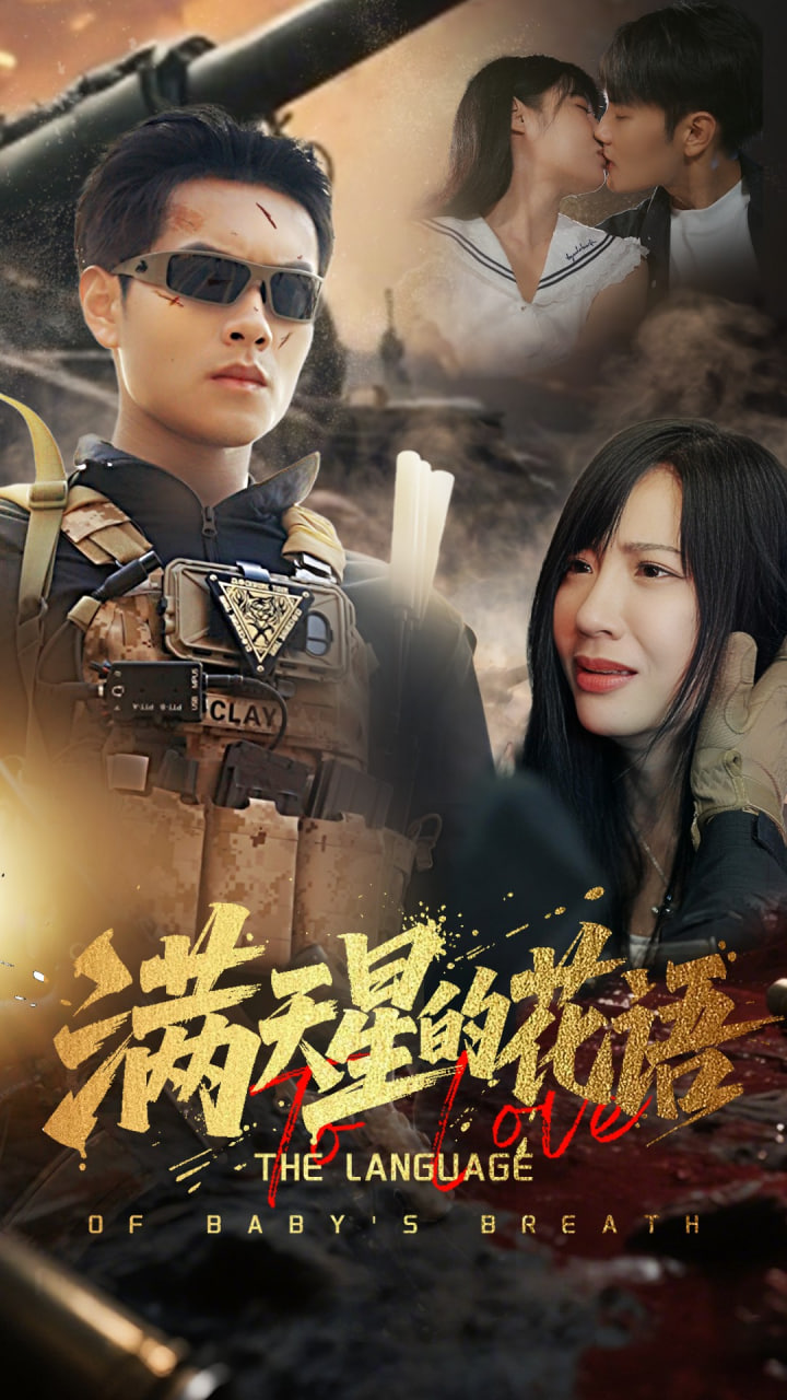 满天星的花语封面