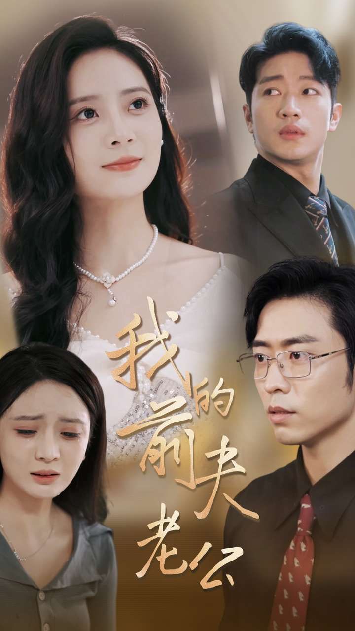 我的前夫老公封面
