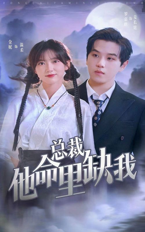 总裁他命里缺我封面