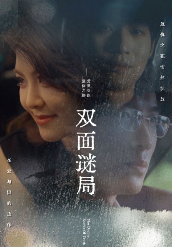 双面谜局封面