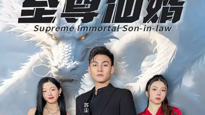 至尊仙婿封面