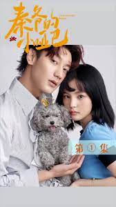 秦爷的小哑妻封面