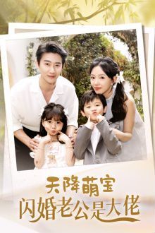 天降萌宝闪婚老公是大佬封面