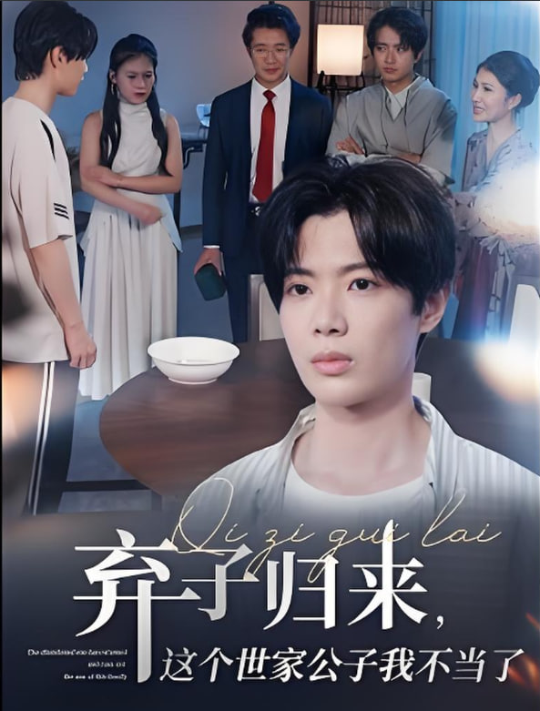 弃子归来这个世家公子我不当了封面
