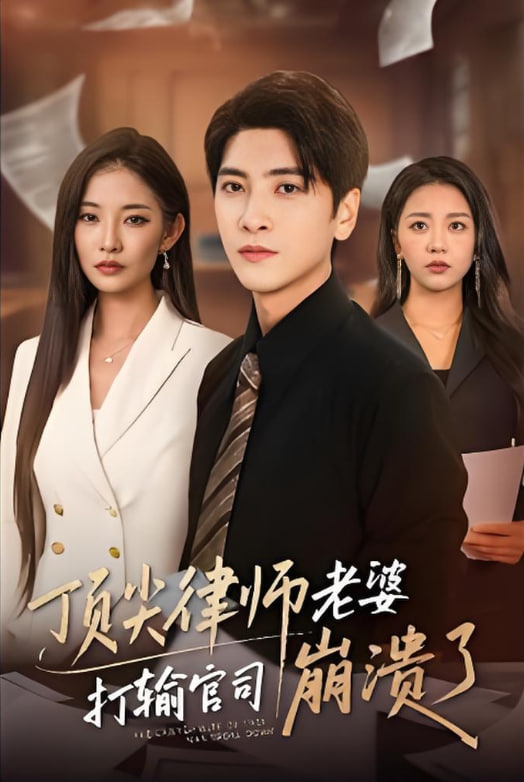 师老婆打输官司崩溃了（爱至深处不回头）封面