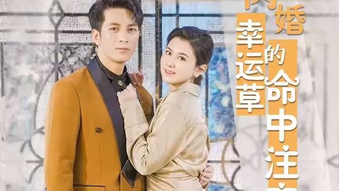 闪婚幸运草的命中注定封面
