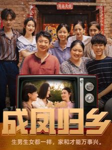 女总裁成凤归乡封面