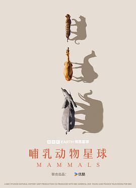 哺乳动物星球封面
