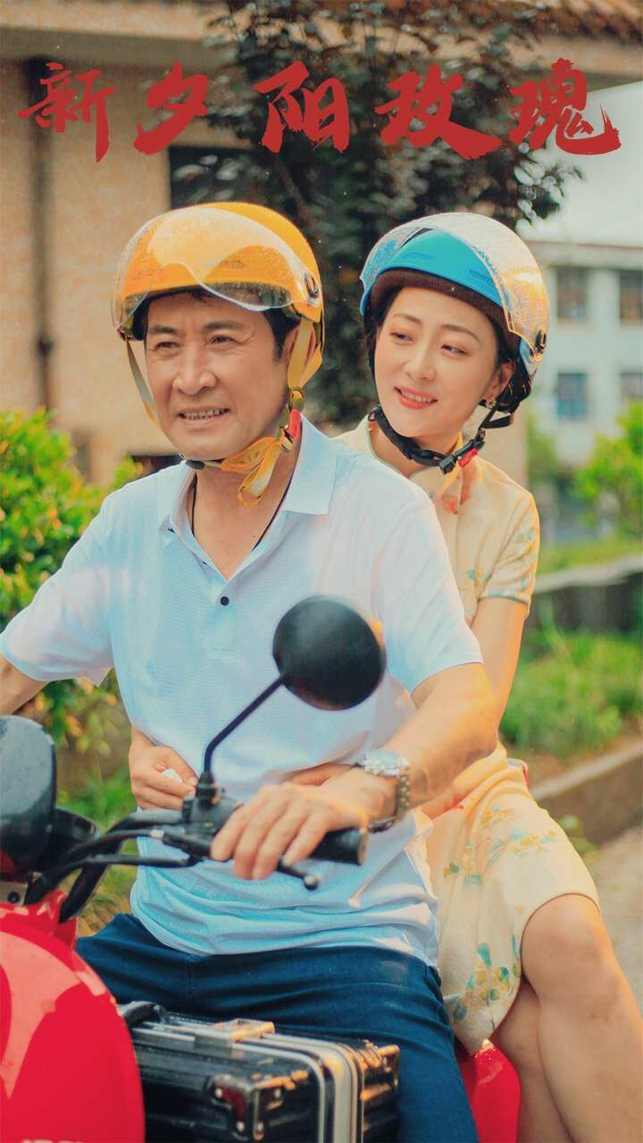 新夕阳玫瑰封面
