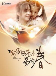 向阳花木易为春封面
