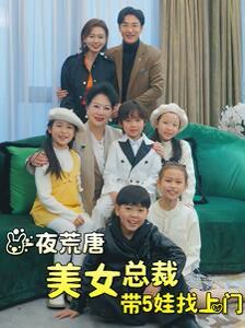 一夜荒唐美女总裁带5娃找上门封面