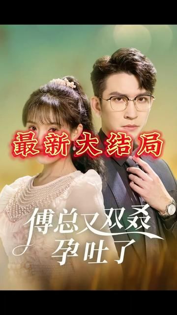 傅总又双叒孕吐了封面