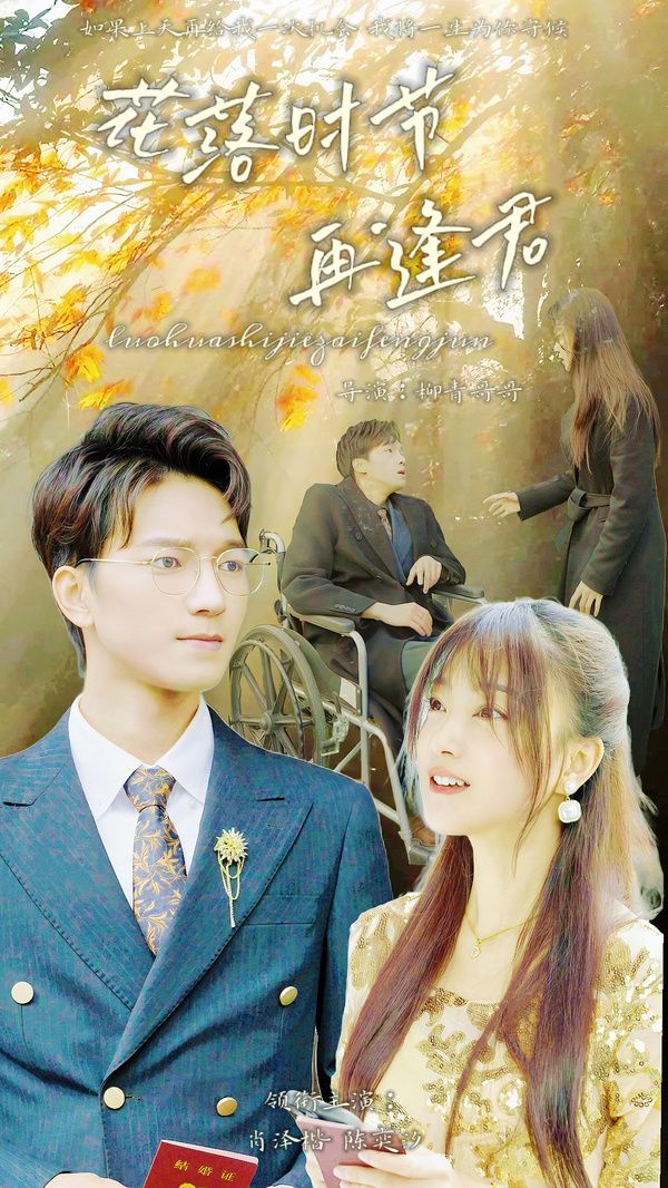 落花时节再逢君封面