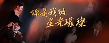 你是我的星光璀璨封面