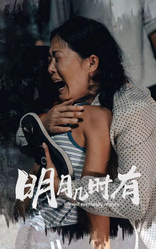 明月几时有封面