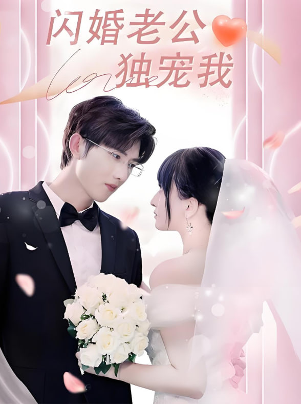 闪婚老公独宠我封面