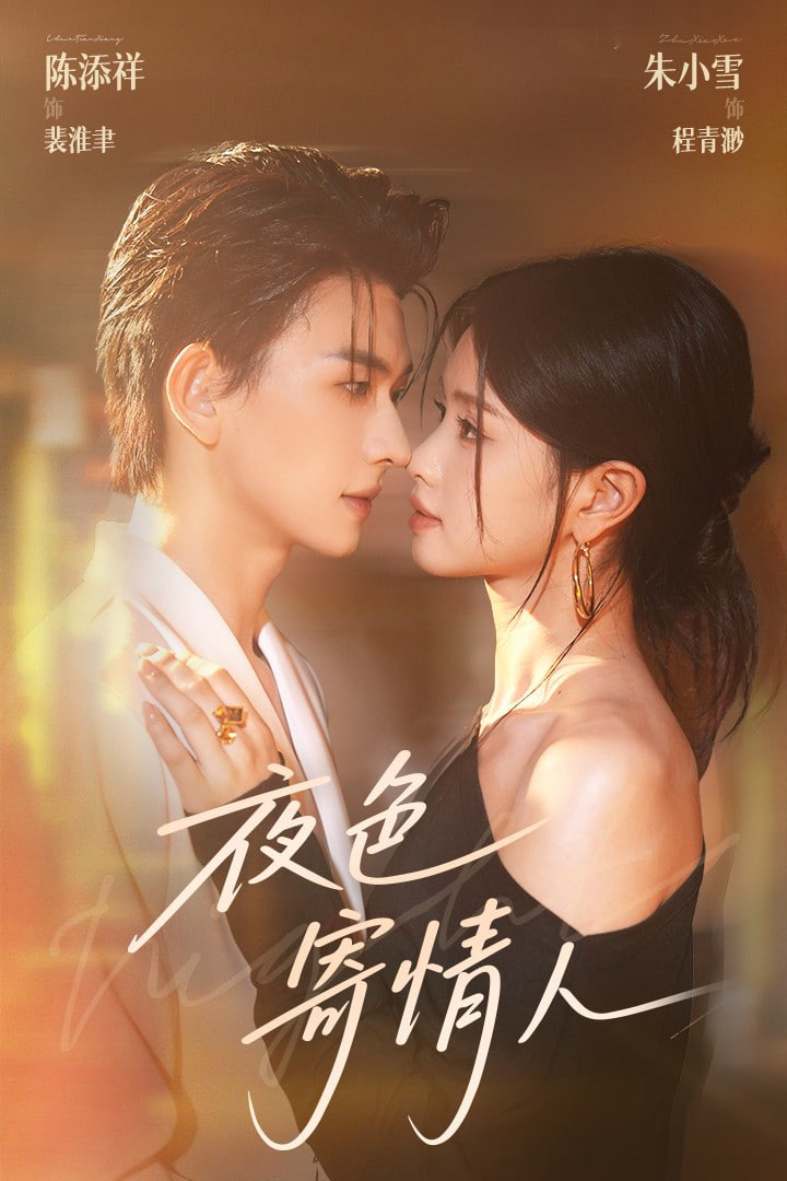 夜色寄情人封面