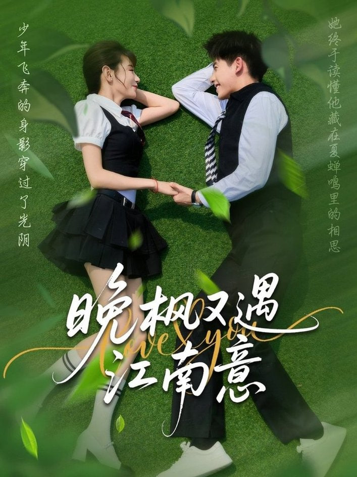 晚枫又遇江南意封面