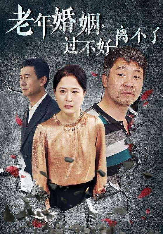 老年婚姻过不好离不了封面
