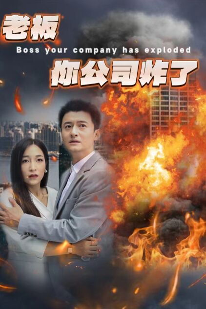 老板你公司炸了封面
