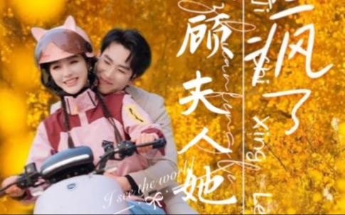 顾总夫人她赚疯了封面